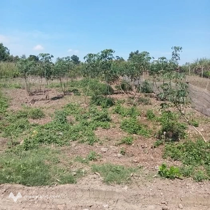 Bất động sản tại Phú Yên - ảnh 1