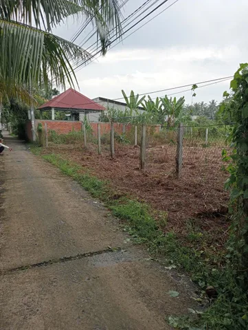 Bất động sản tại Bến Tre - ảnh 1