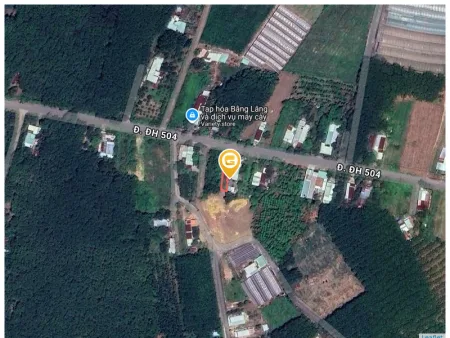 Bất động sản tại Bình Dương - ảnh 1