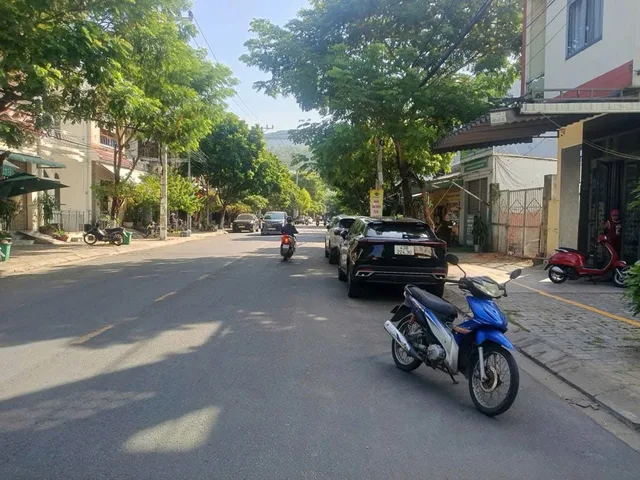 Bất động sản tại Đà Nẵng - ảnh 1