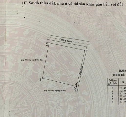 Bất động sản tại Lâm Đồng - ảnh 1
