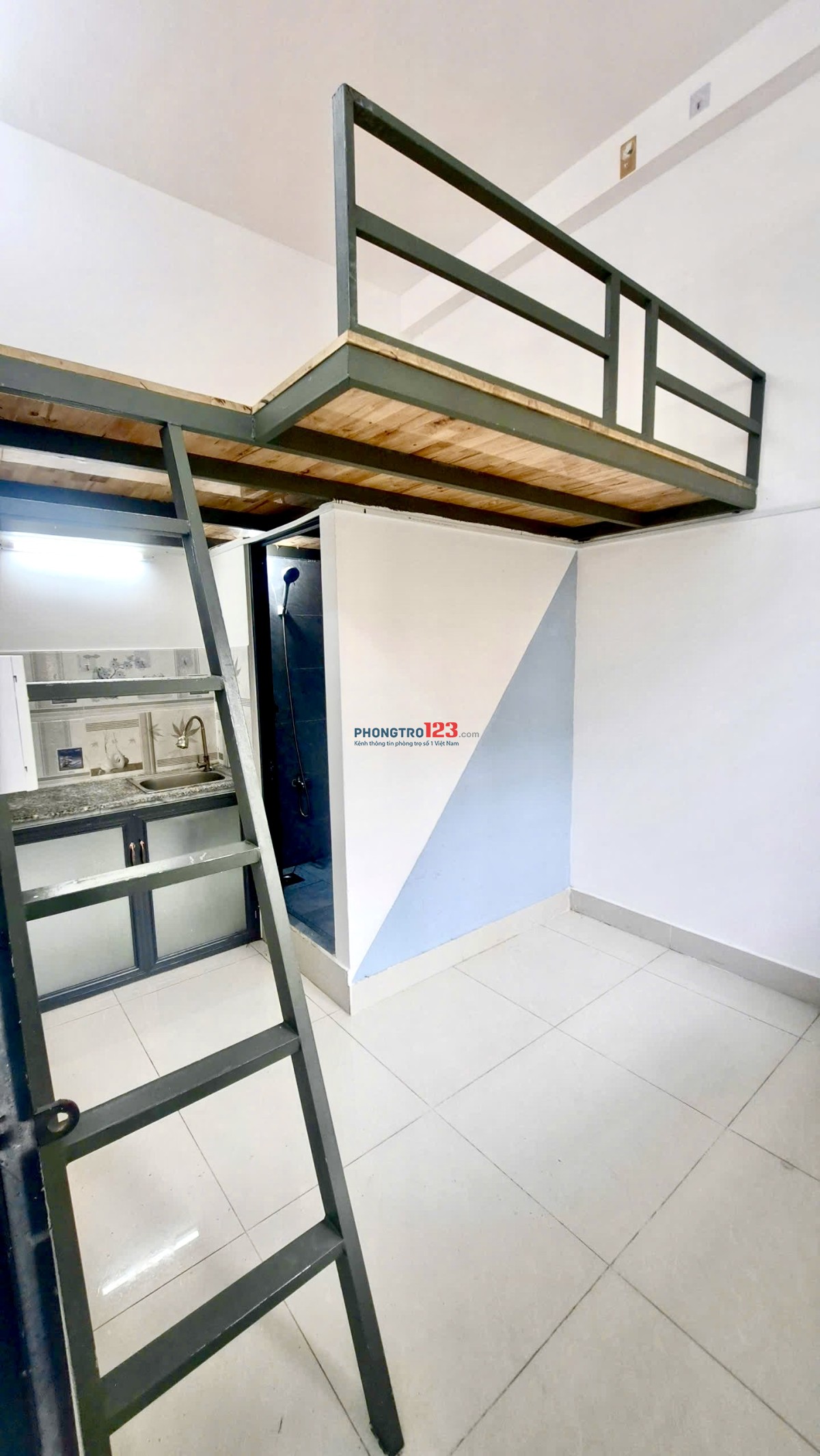 Bất động sản tại TP. Hồ Chí Minh - ảnh 1