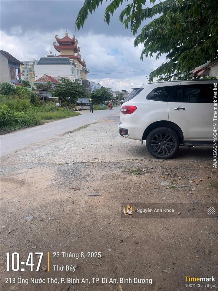 Bất động sản tại Bình Dương - ảnh 1