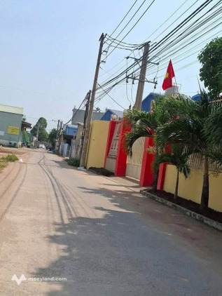 Bất động sản tại Bình Dương - ảnh 1