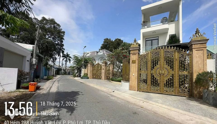 Bất động sản tại Bình Dương - ảnh 1