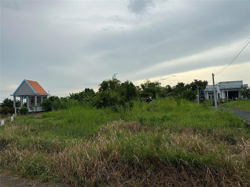 Bất động sản tại Long An - ảnh 1