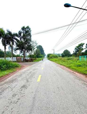Bất động sản tại Bình Dương - ảnh 1