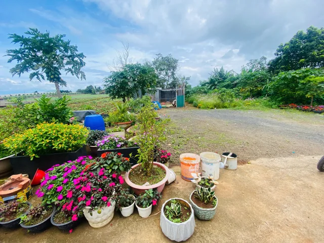 Bất động sản tại Lâm Đồng - ảnh 1