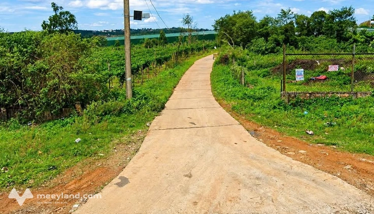 Bất động sản tại Gia Lai - ảnh 1