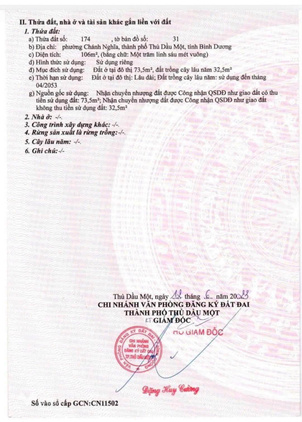 Bất động sản tại Bình Dương - ảnh 1
