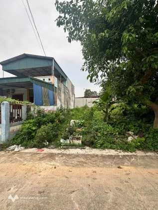 Bất động sản tại Thái Nguyên - ảnh 1
