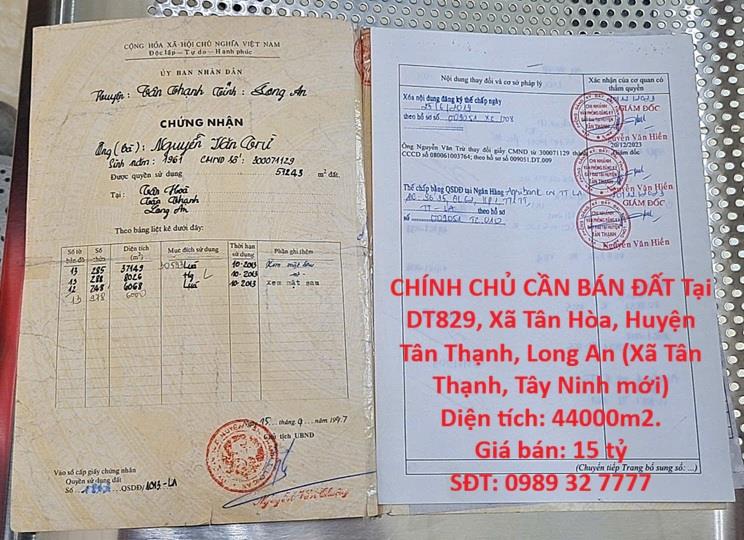 Bất động sản tại Long An - ảnh 1