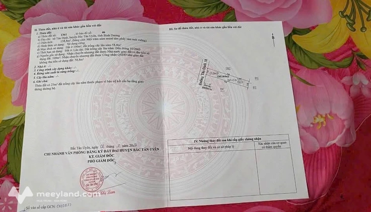 Bất động sản tại Bình Dương - ảnh 1