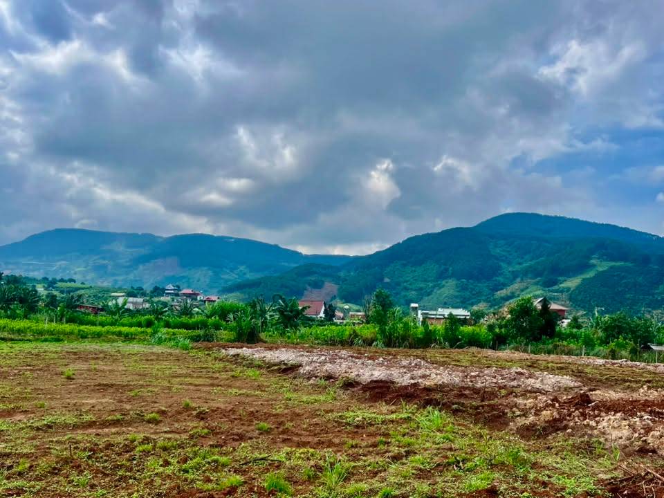 Bất động sản tại Lâm Đồng - ảnh 1