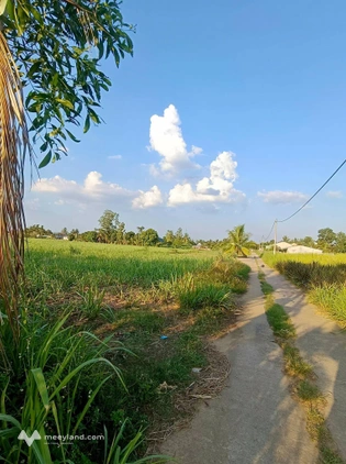 Bất động sản tại Phú Yên - ảnh 1