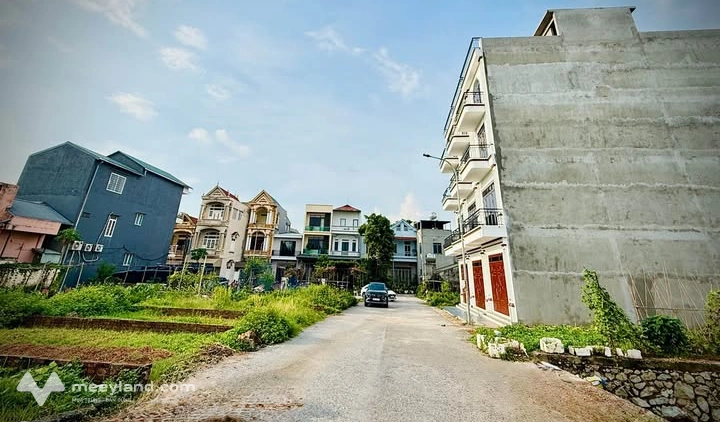 Bất động sản tại Phú Thọ - ảnh 1