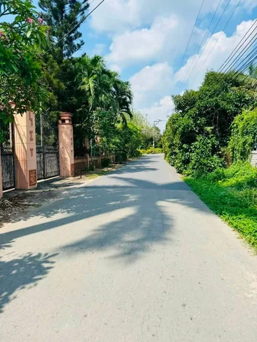 Bất động sản tại Bình Dương - ảnh 1