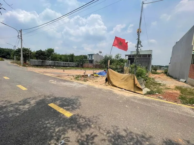 Bất động sản tại Bình Dương - ảnh 1
