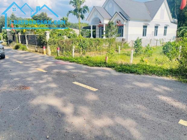 Bất động sản tại Bình Dương - ảnh 1