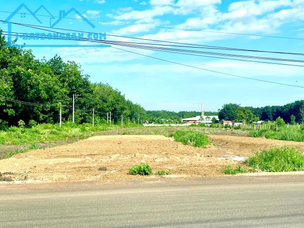 Bất động sản tại Bình Dương - ảnh 1