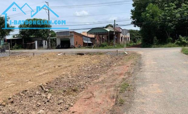 Bất động sản tại Bình Dương - ảnh 1