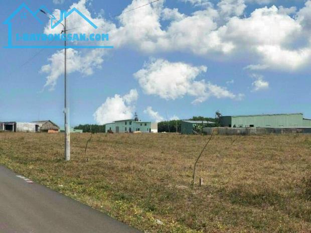 Bất động sản tại Bình Phước - ảnh 1