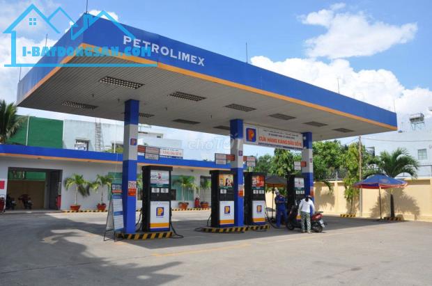 Bất động sản tại Bình Dương - ảnh 1