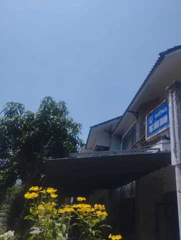 Bất động sản tại Đà Nẵng - ảnh 1