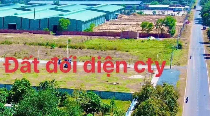Bất động sản tại Đồng Nai - ảnh 1