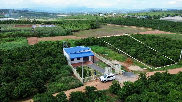 Bất động sản tại Lâm Đồng - ảnh 1