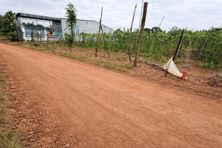 Bất động sản tại Đắk Lắk - ảnh 1