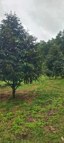Bất động sản tại Đồng Nai - ảnh 1