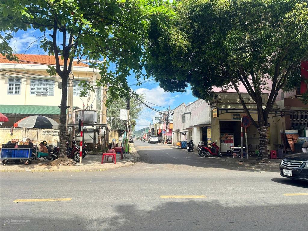 Bất động sản tại Lâm Đồng - ảnh 1