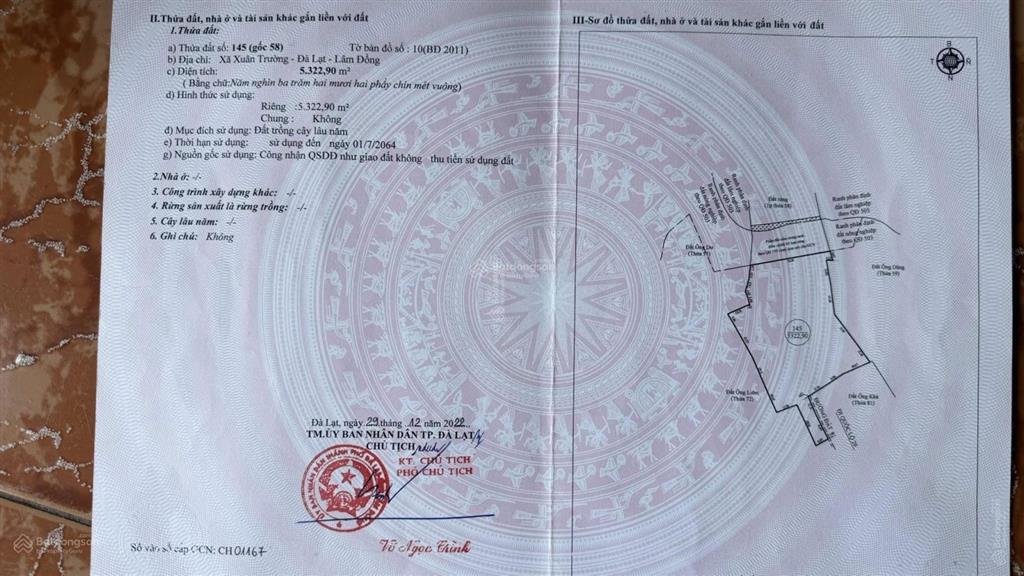 Bất động sản tại Lâm Đồng - ảnh 1