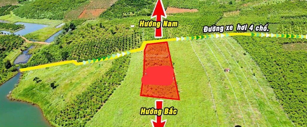 Bất động sản tại Lâm Đồng - ảnh 1