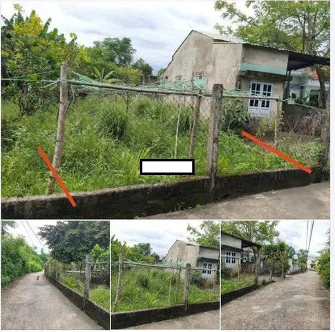 Bất động sản tại Đà Nẵng - ảnh 1