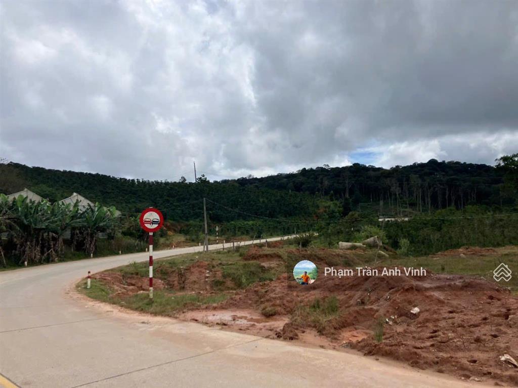 Bất động sản tại Lâm Đồng - ảnh 1