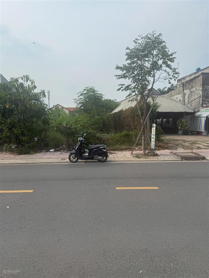 Bất động sản tại Long An - ảnh 1