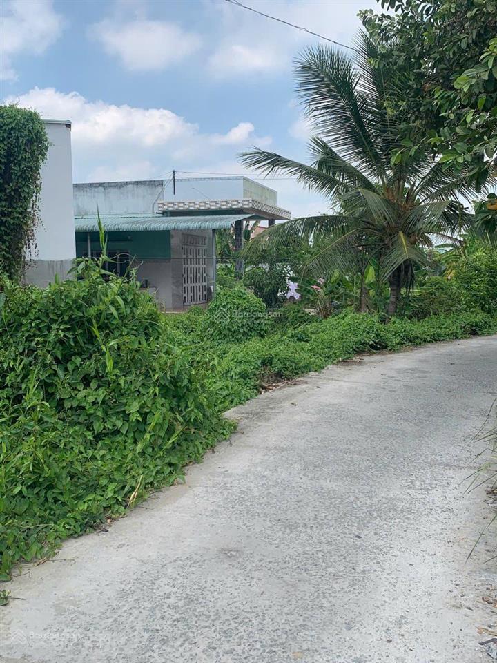 Bất động sản tại Long An - ảnh 1