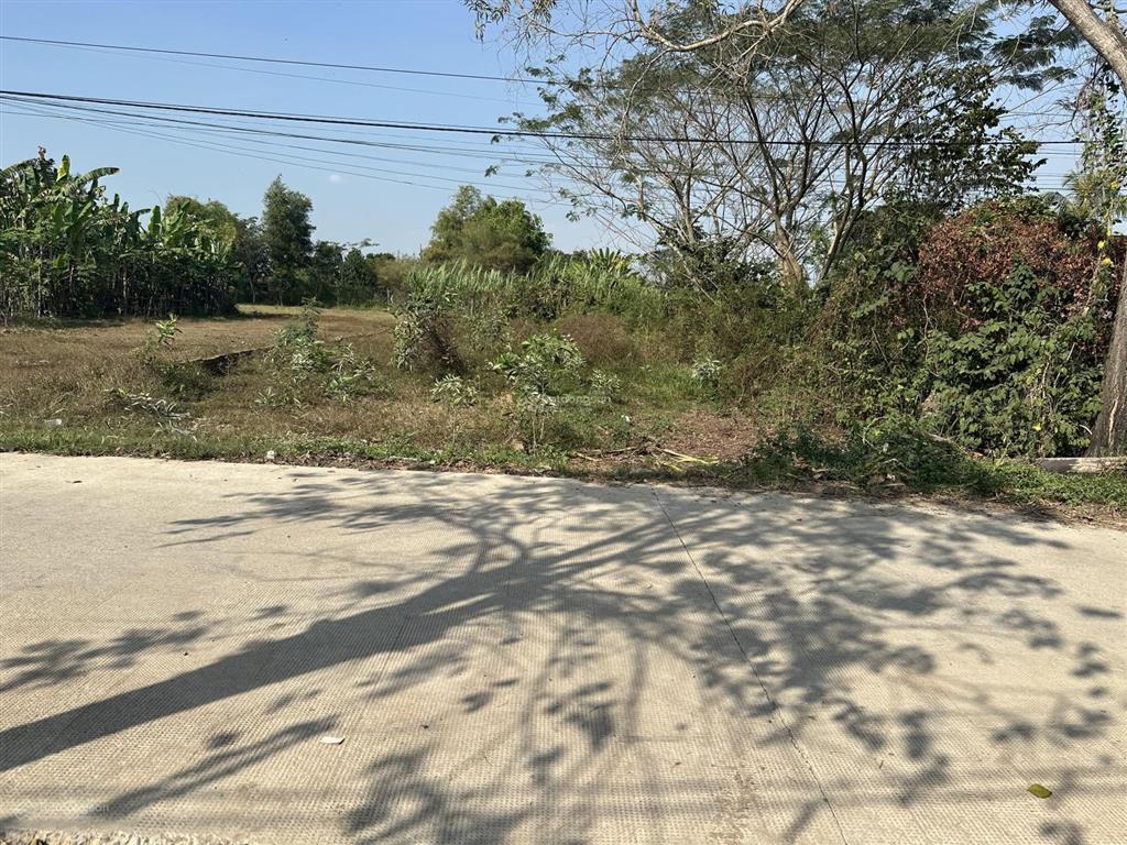 Bất động sản tại Long An - ảnh 1