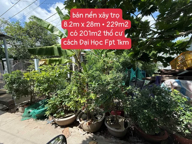 Bất động sản tại Cần Thơ - ảnh 1