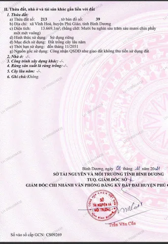 Bất động sản tại Bình Dương - ảnh 1