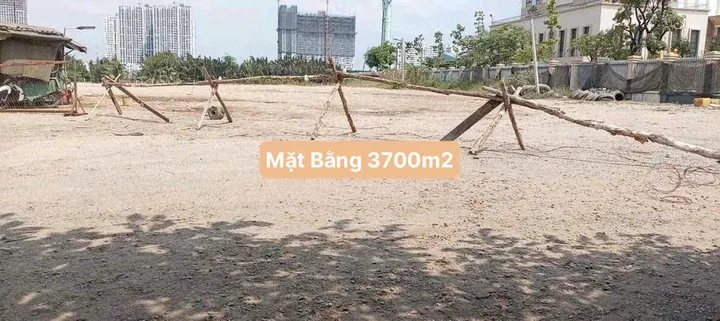 Bất động sản tại TP. Hồ Chí Minh - ảnh 1