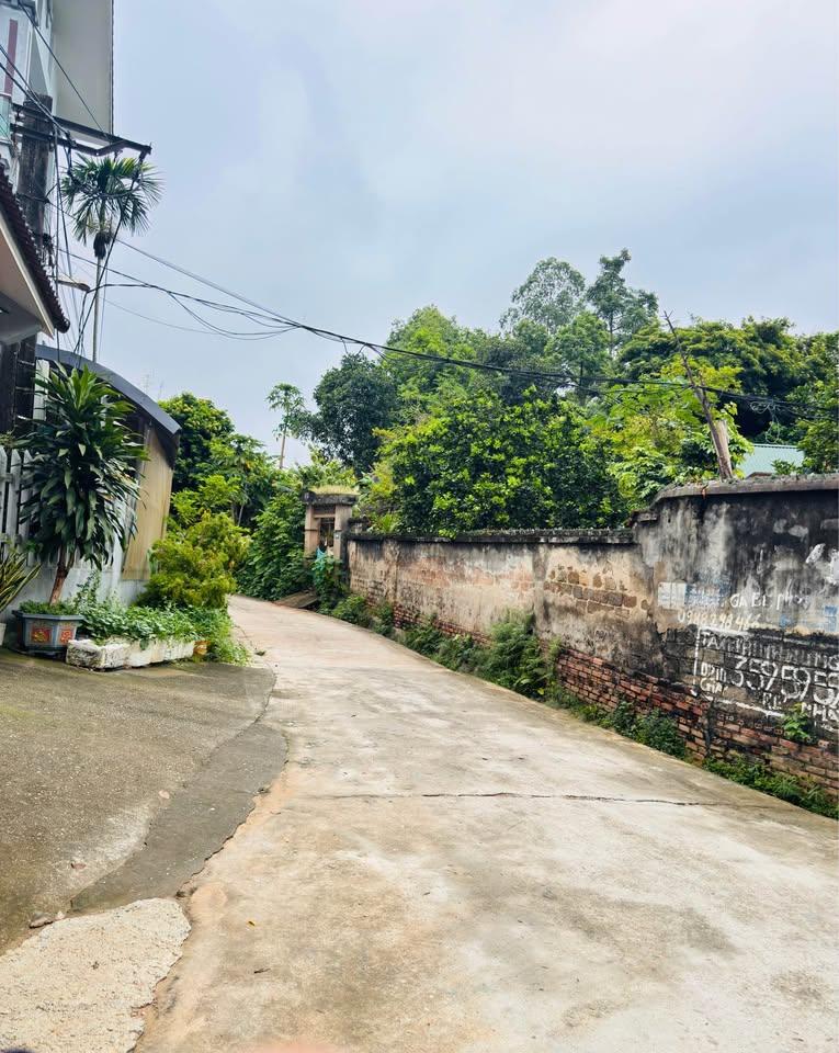 Bất động sản tại Phú Thọ - ảnh 1
