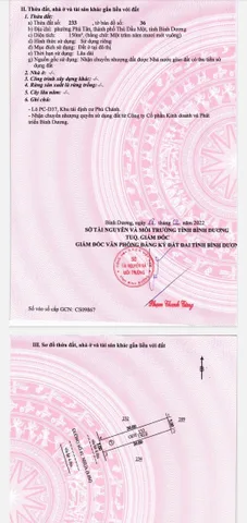 Bất động sản tại Bình Dương - ảnh 1