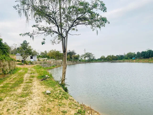 Bất động sản tại Phú Thọ - ảnh 1
