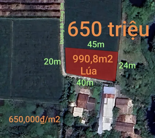 Bất động sản tại Tây Ninh - ảnh 1