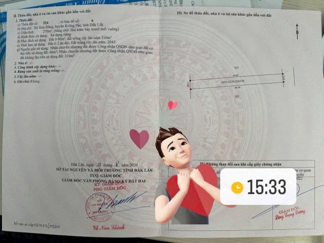 Bất động sản tại Đắk Lắk - ảnh 1