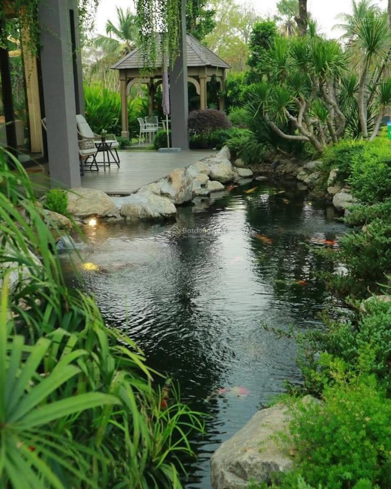 Bất động sản tại Long An - ảnh 1
