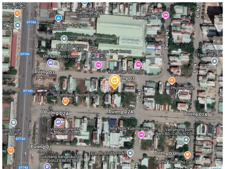 Bất động sản tại Bình Dương - ảnh 1